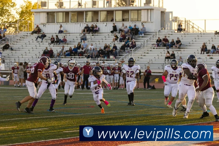 多媒体互动体验